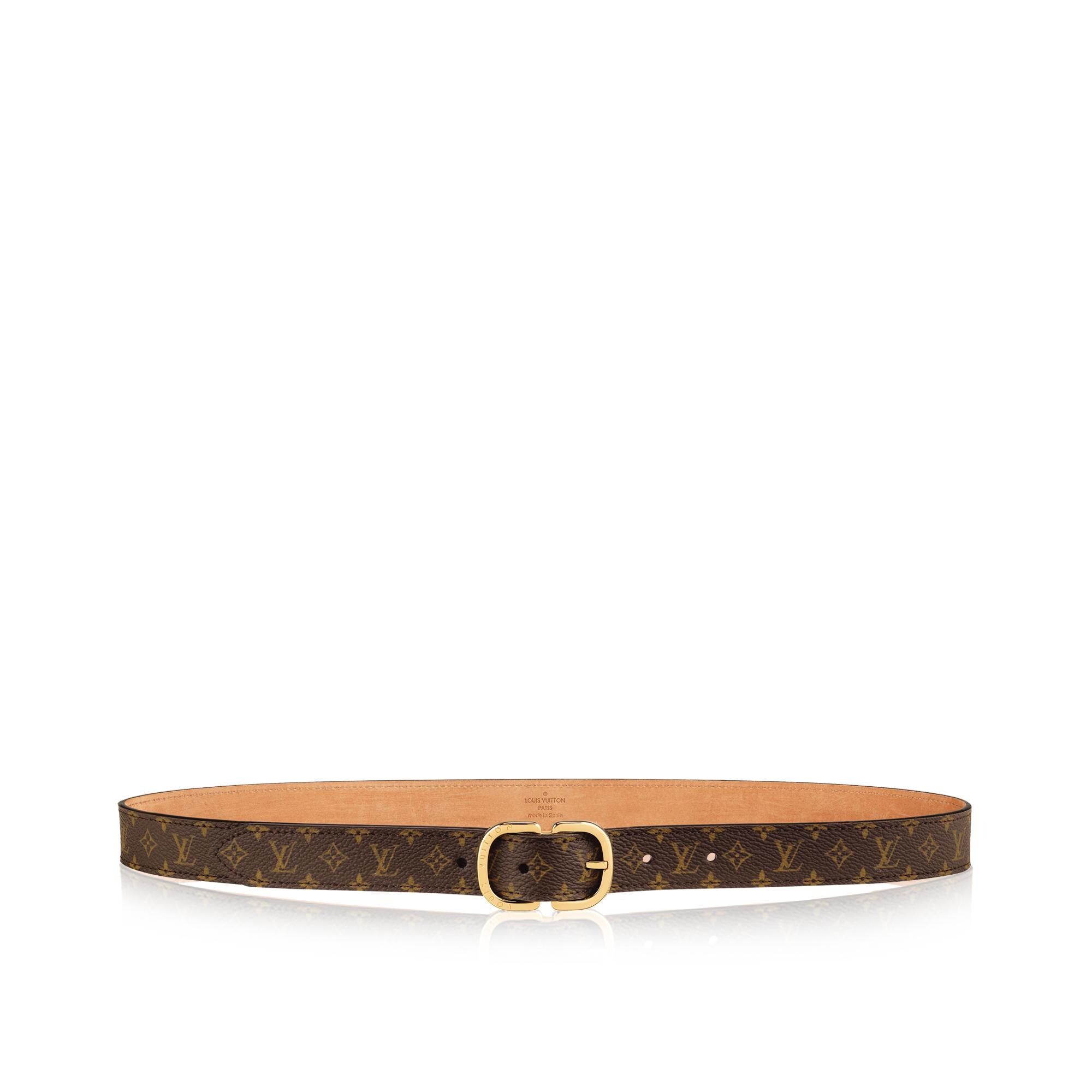 Louis vuitton 2025 riem dames mini